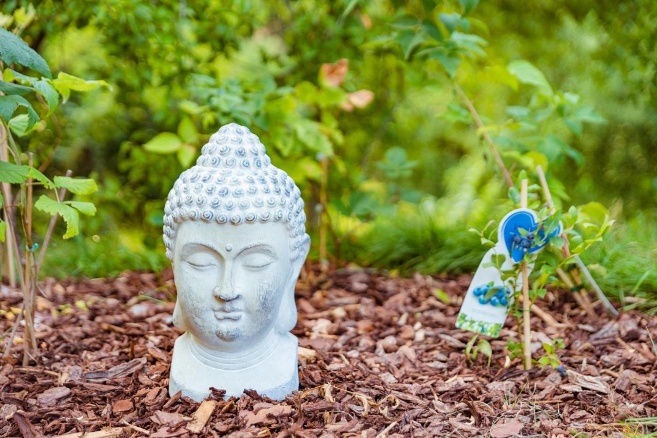 Tiny Messancy, Une Immersion Dans La Nature ! Bagian luar foto